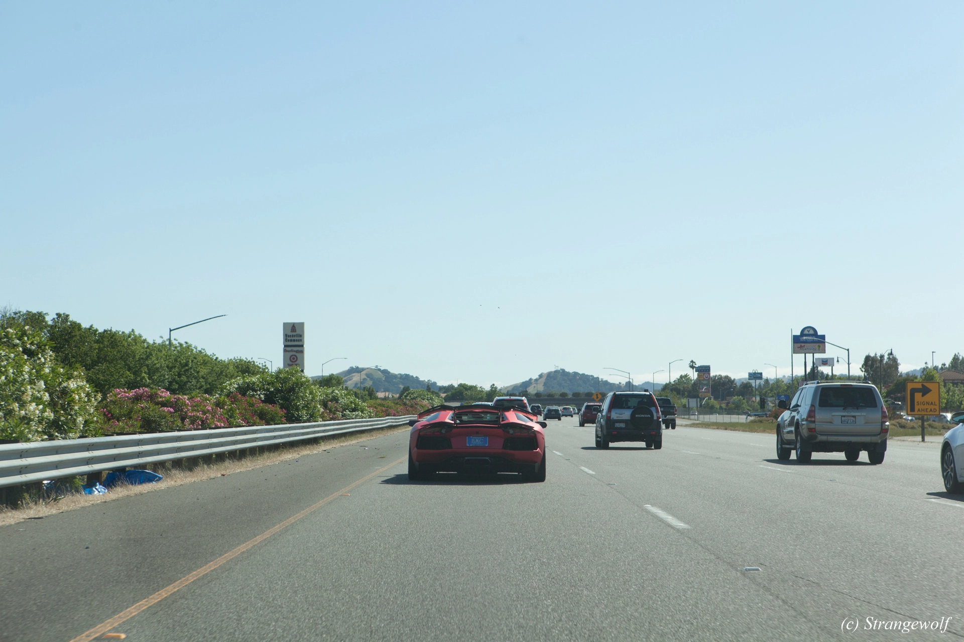 full image IMG_3431-lr19t.jpg