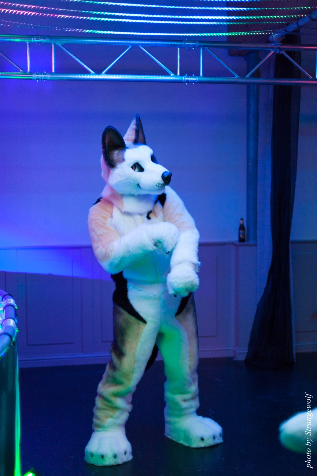 full image IMG_5385-lr16t.jpg