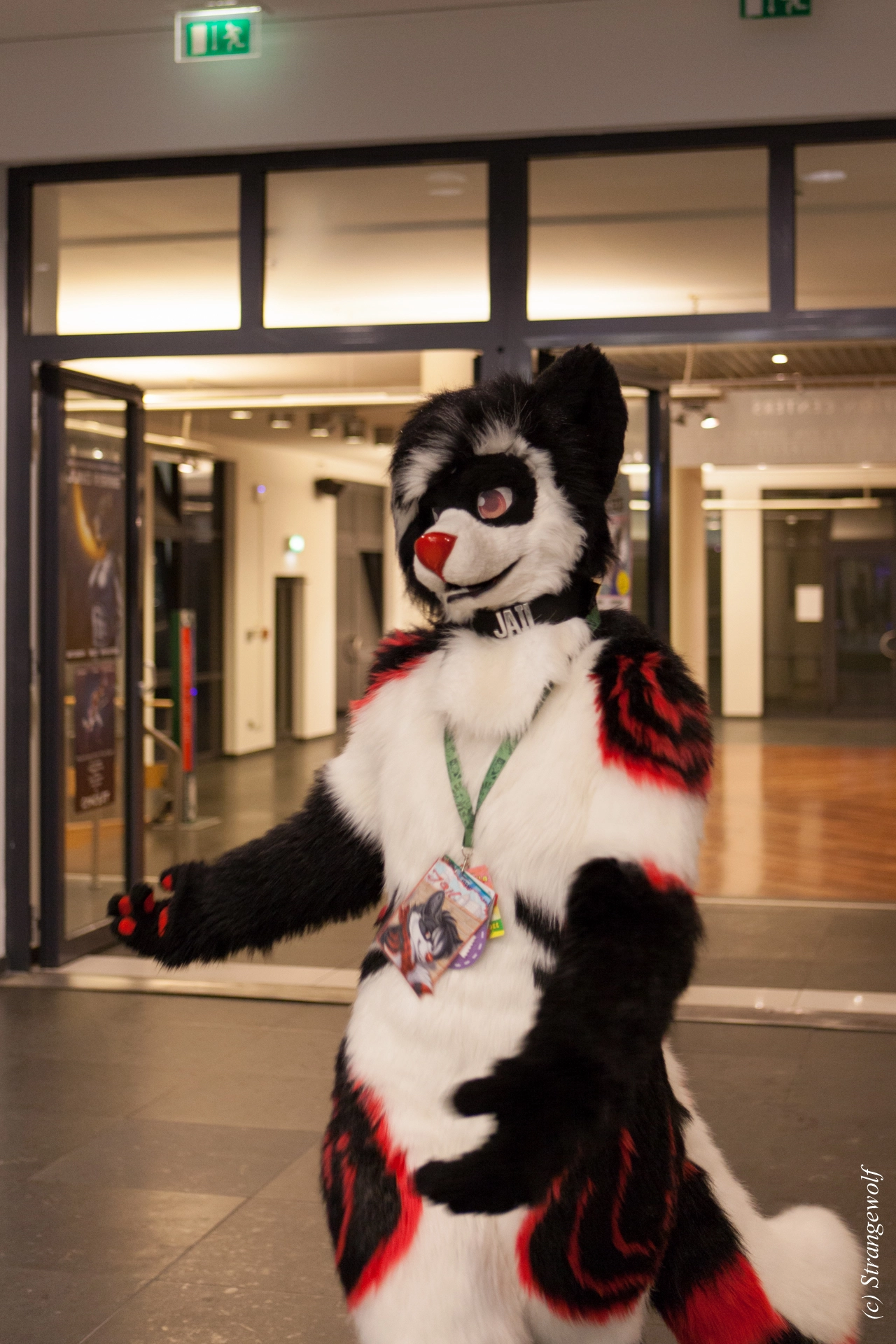 full image IMG_5141-lr19t.jpg