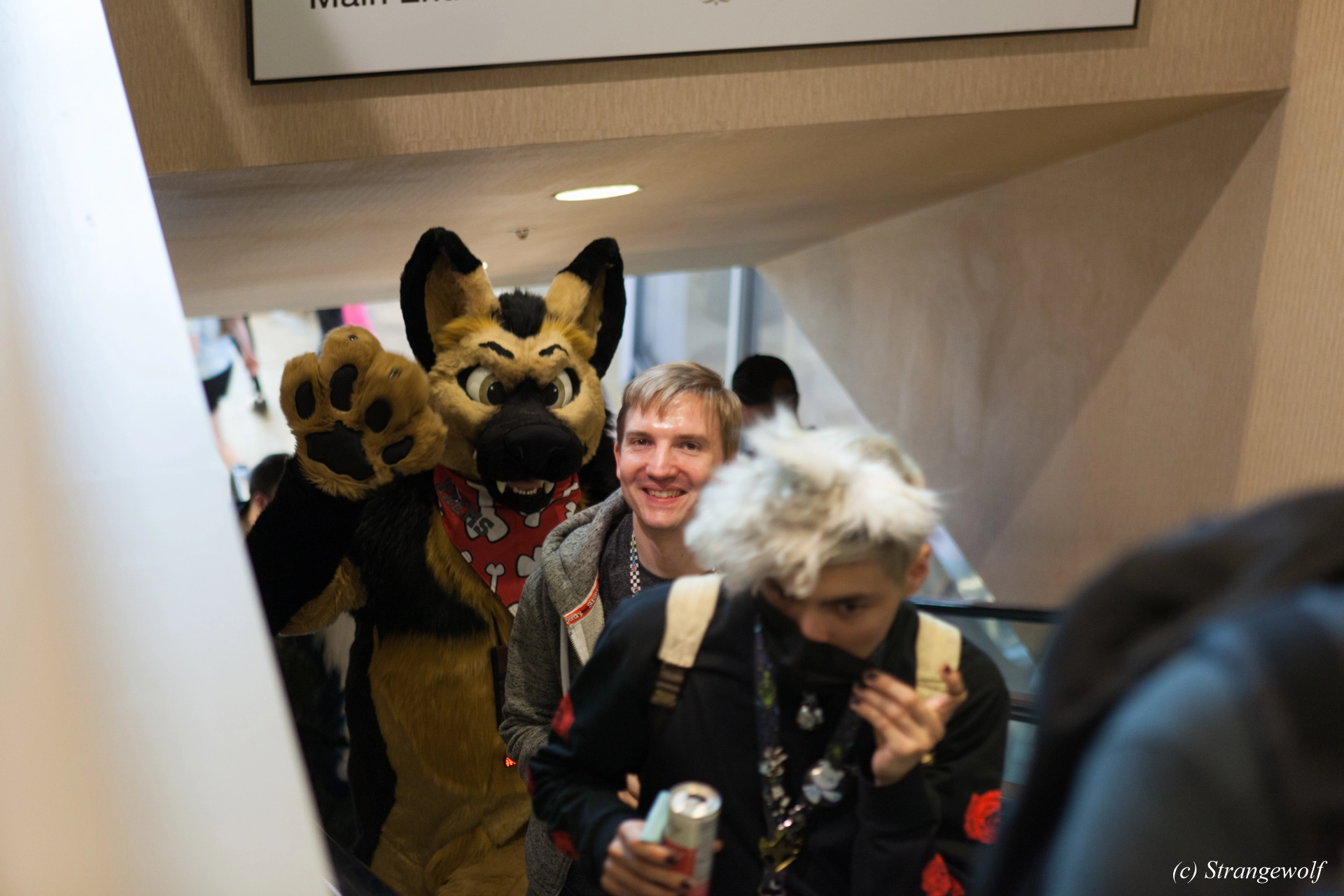 full image IMG_4511-lr19t.jpg