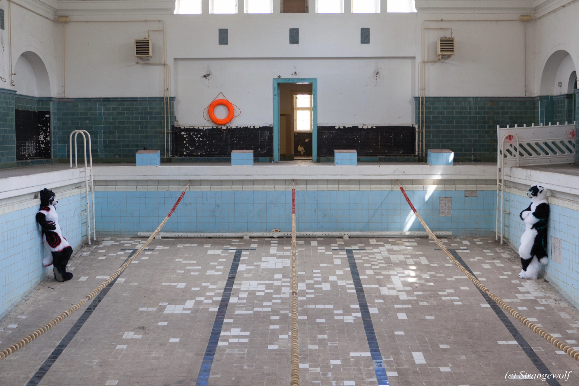 full image IMG_6089-lr19t.jpg