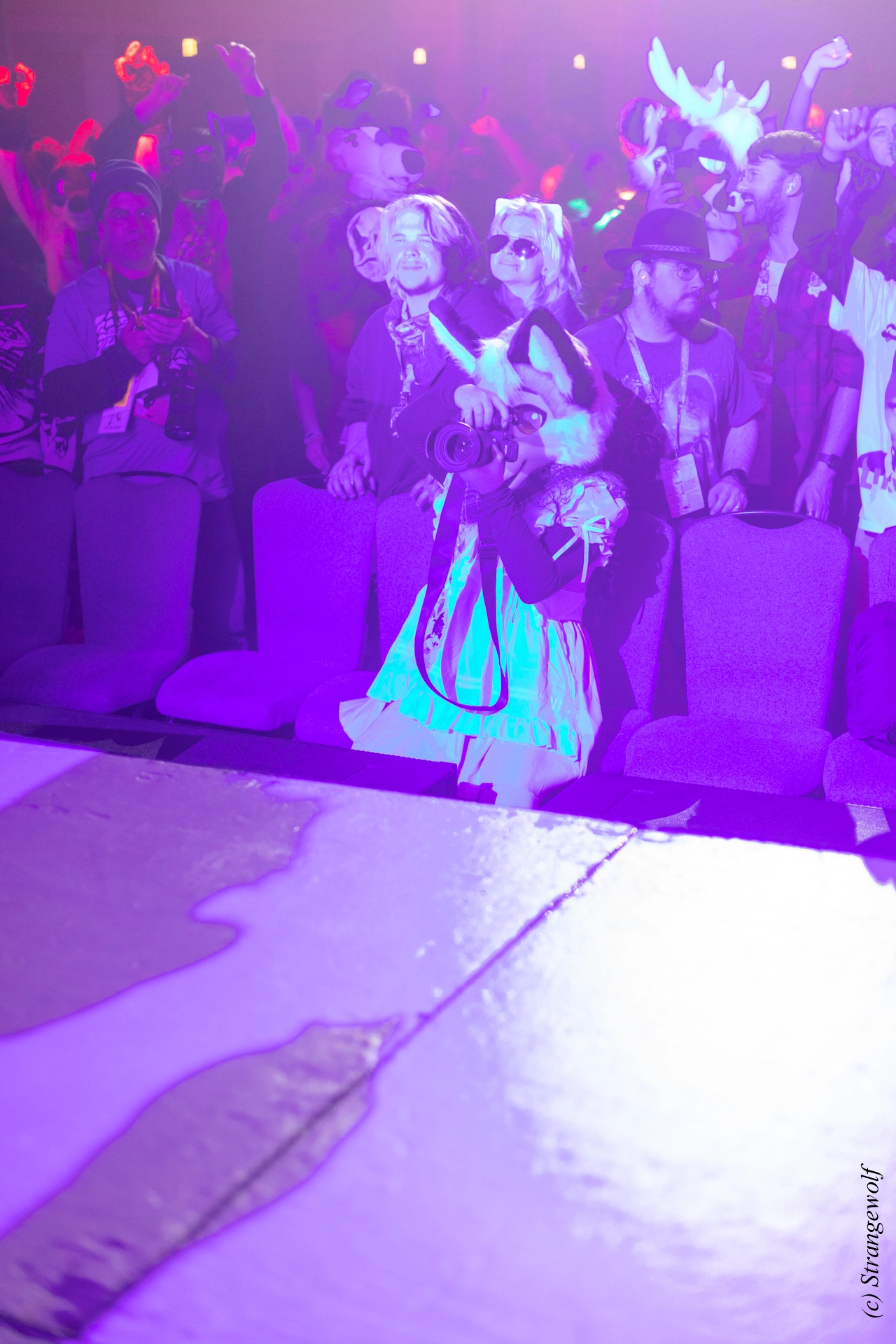 full image 1R3A0763-lr19t.jpg