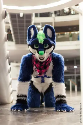 IMG_1932-lr16t.jpg of NFC/NFC2017/