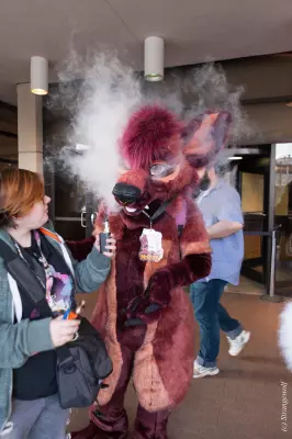 IMG_8451-lr19t.jpg of MFF/MFF2017/