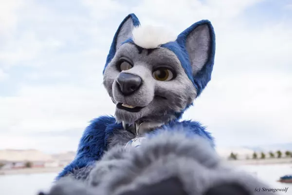 IMG_2676-lr.jpg of BLFC/2018/