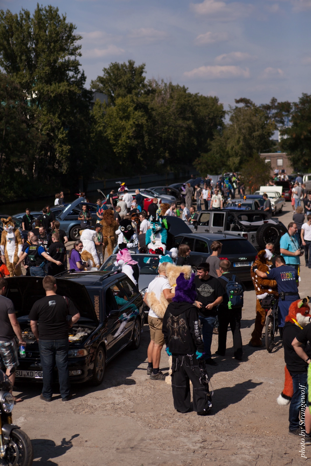 full image IMG_2308-lr16t.jpg