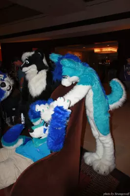 IMG_0847-lr.jpg of MFF/MFF2013/