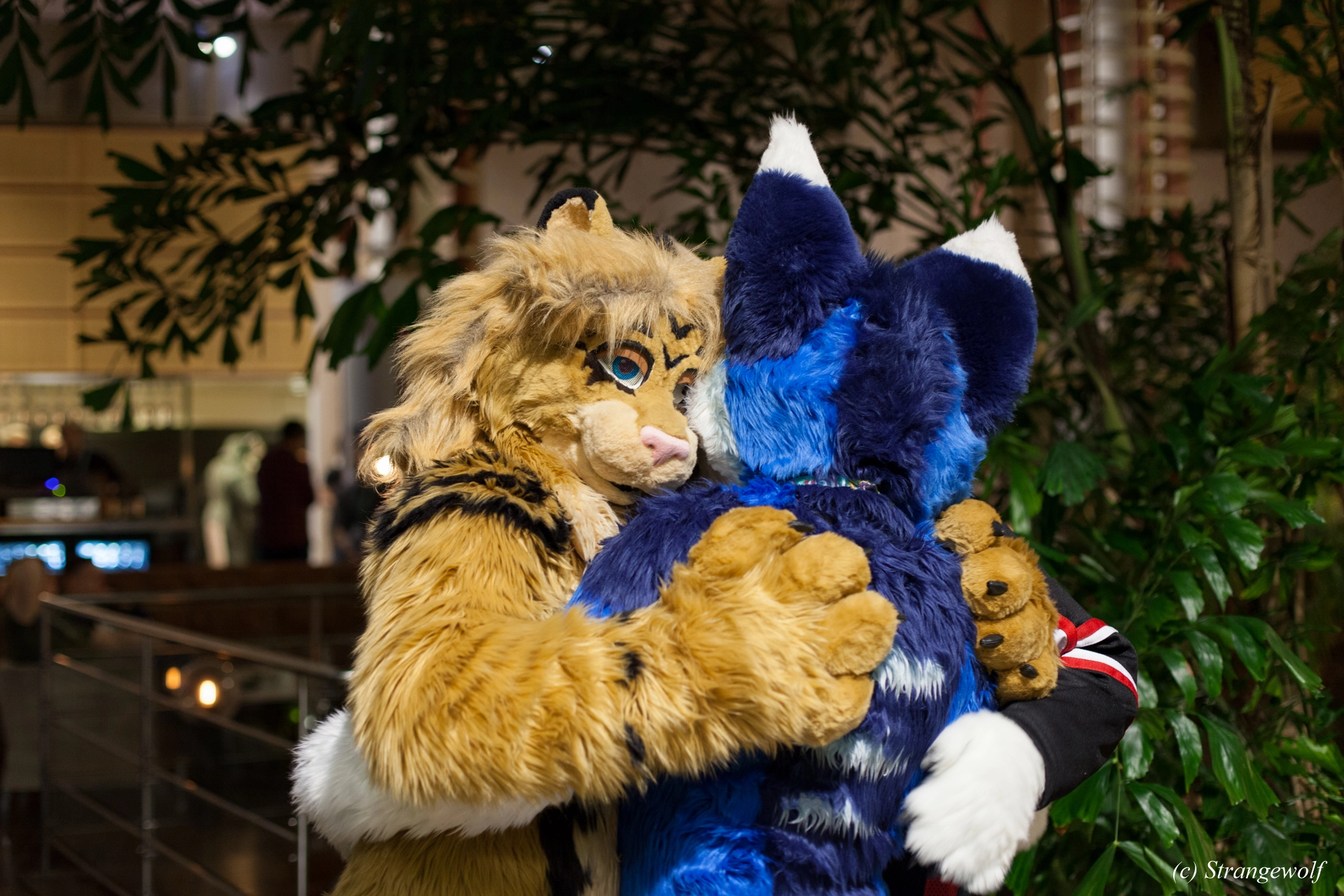 full image IMG_9045-lr19t.jpg