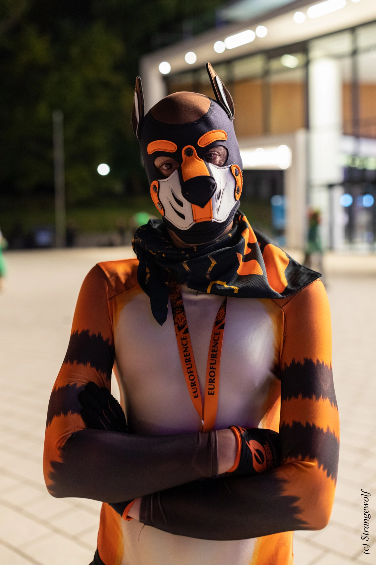 full image 1R3A9467-lr19t.jpg