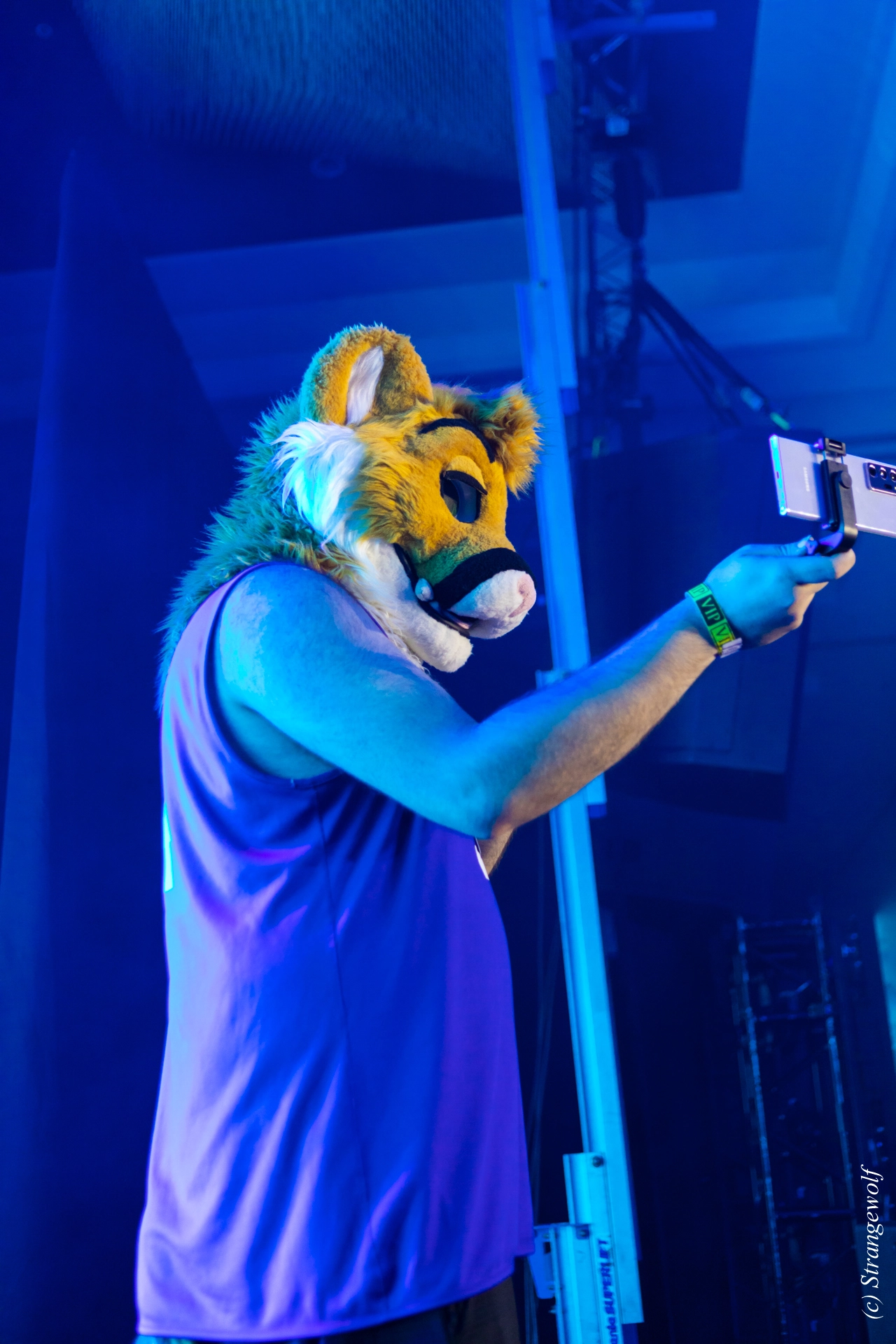 full image 1R3A5063-lr19t.jpg