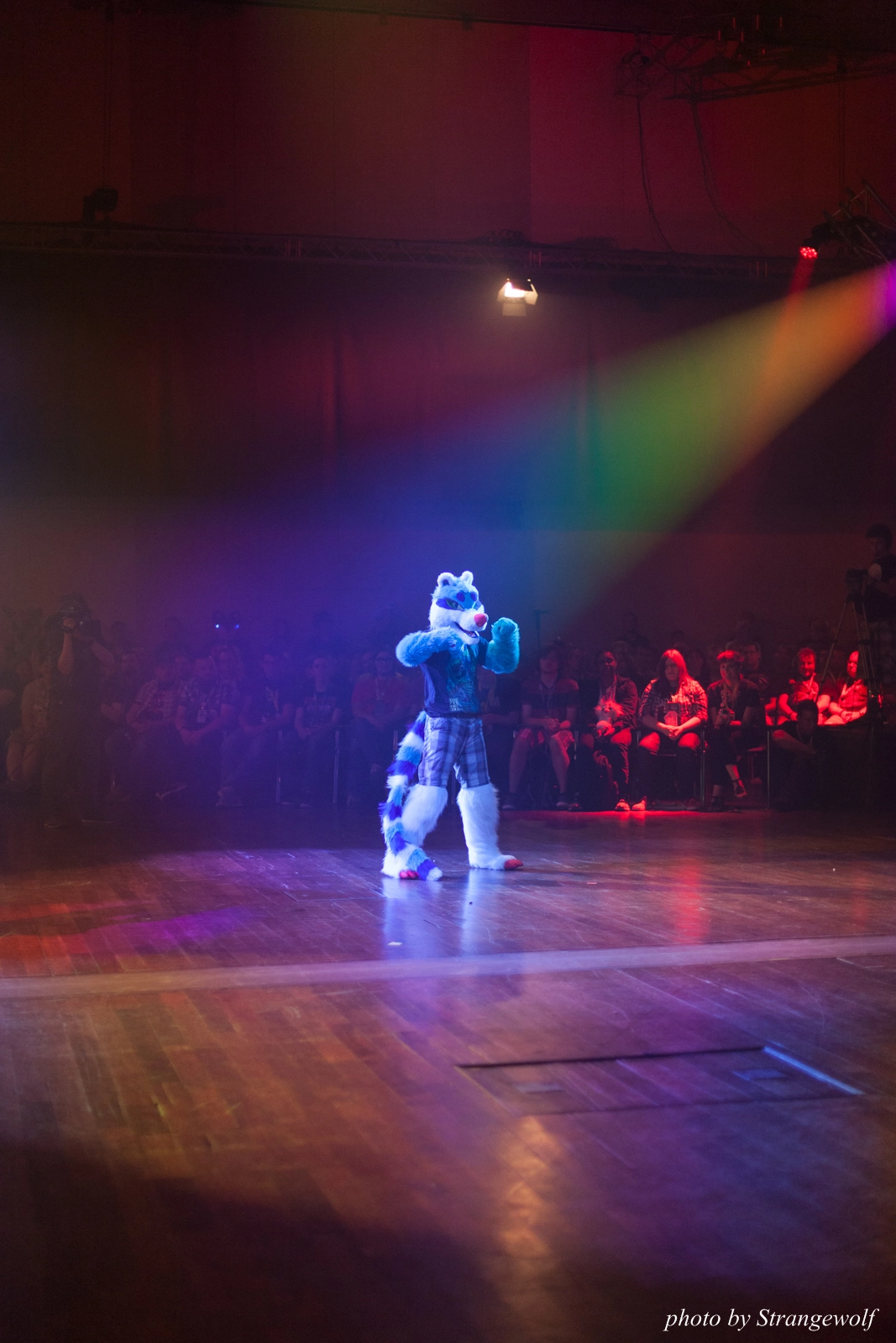full image IMG_2889-lr16t.jpg