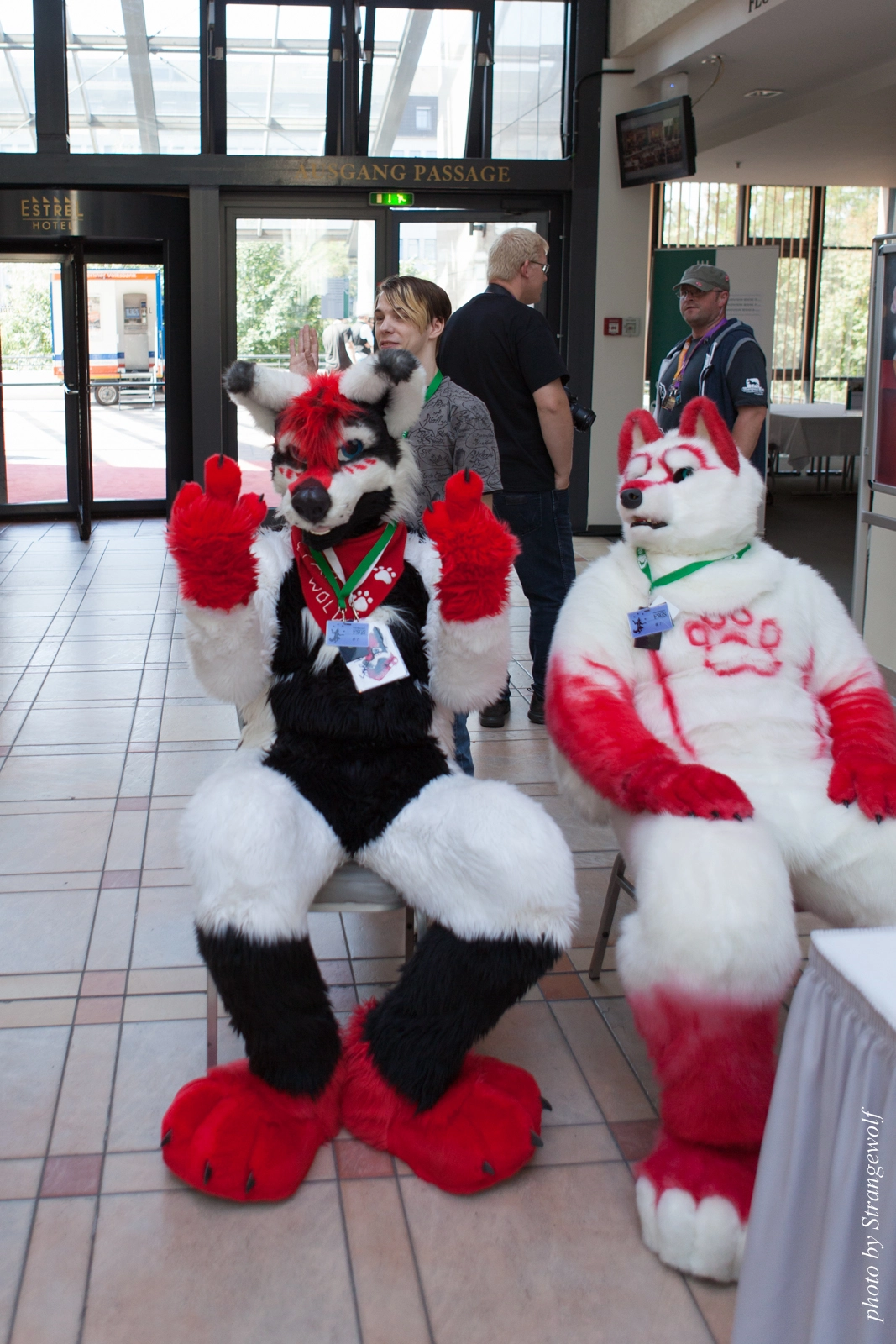 full image IMG_1822-lr16t.jpg