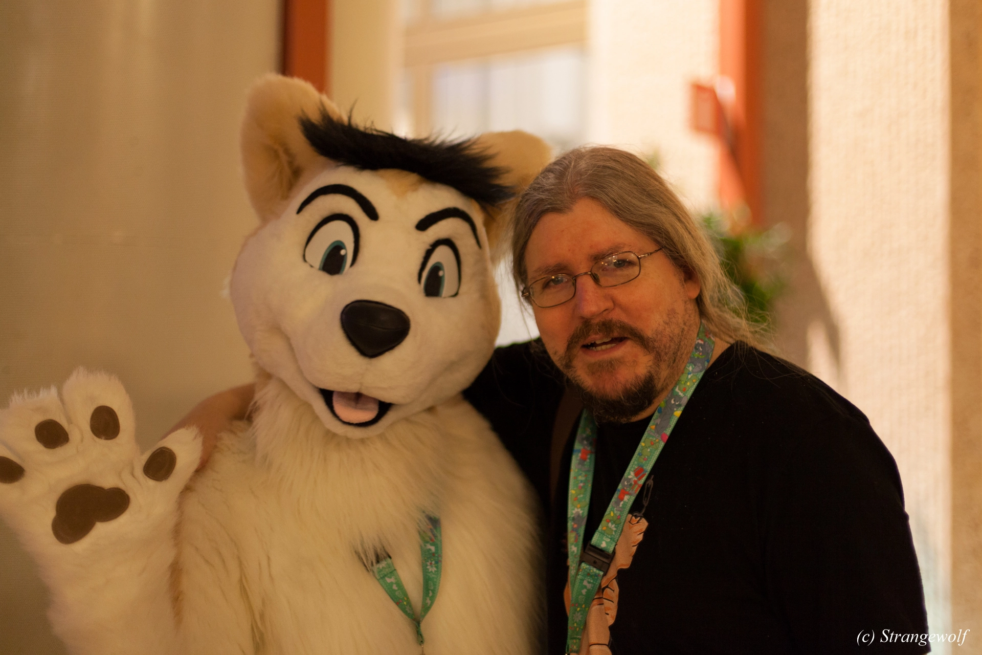 full image IMG_9934-lr19t.jpg