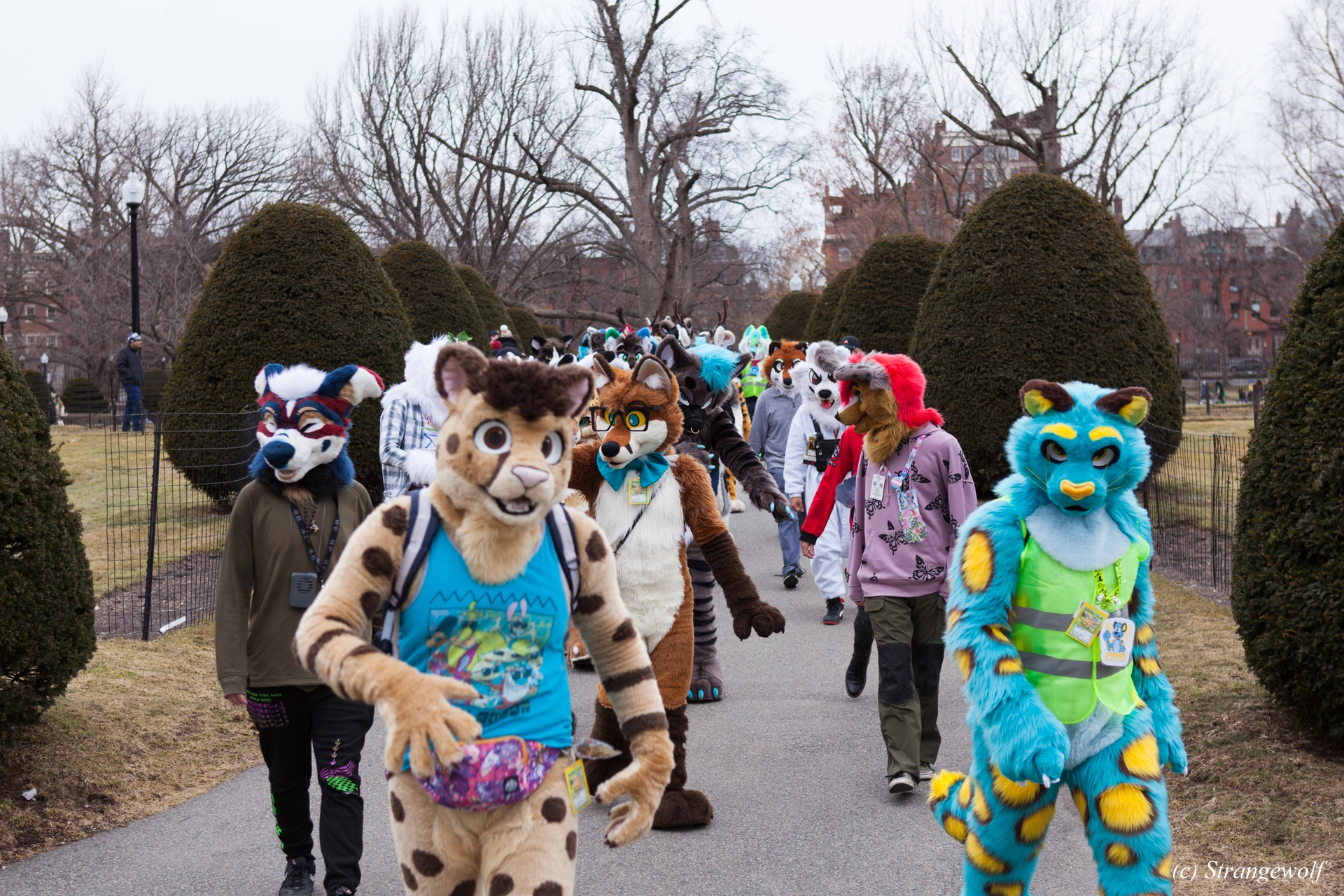 full image IMG_3106-lr19t.jpg