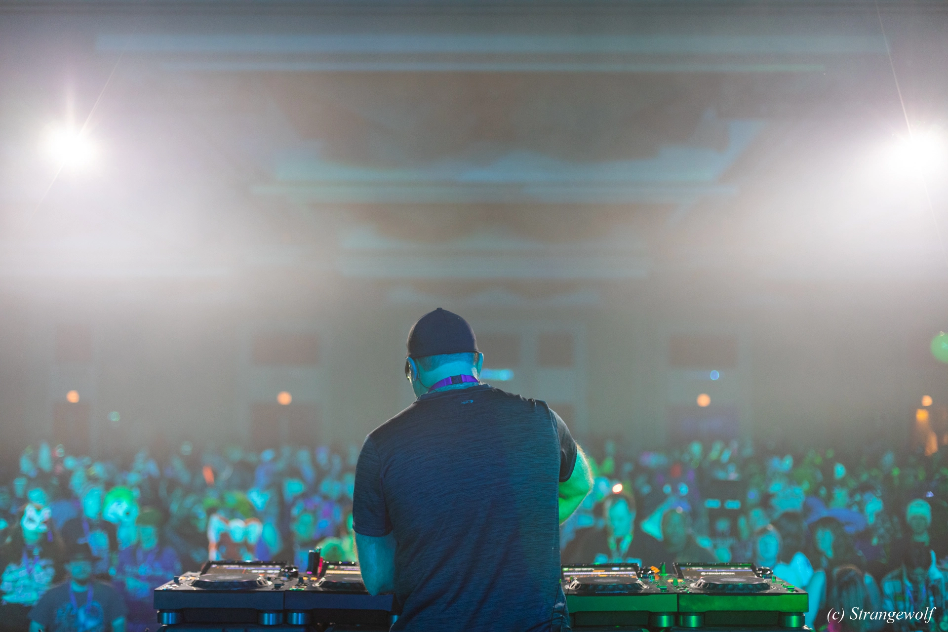 full image 1R3A0390-lr19t.jpg