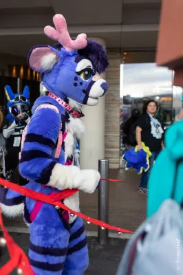 1R3A6137-lr19t.jpg of MFF/MFF2024/