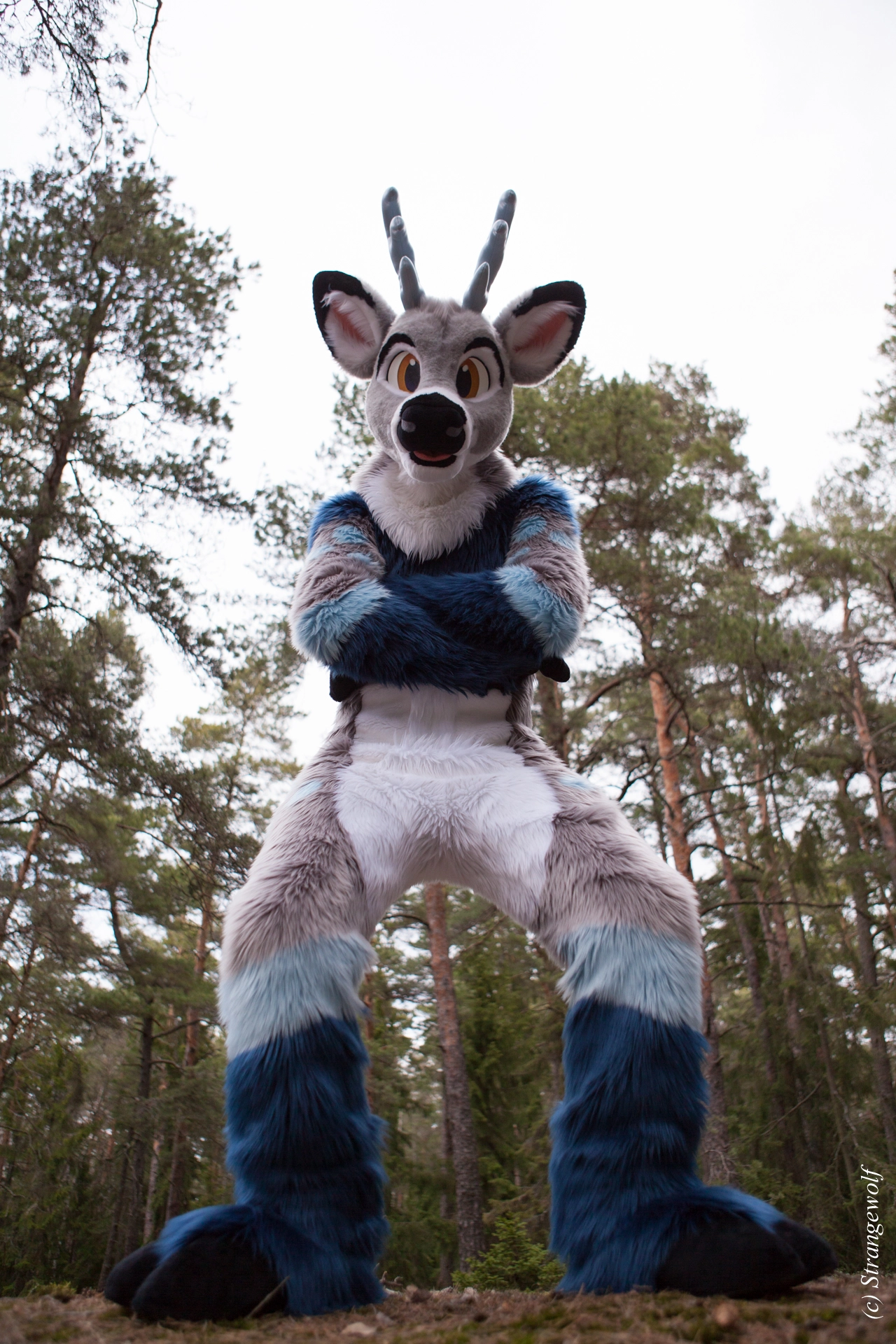 full image IMG_8622-lr19t.jpg