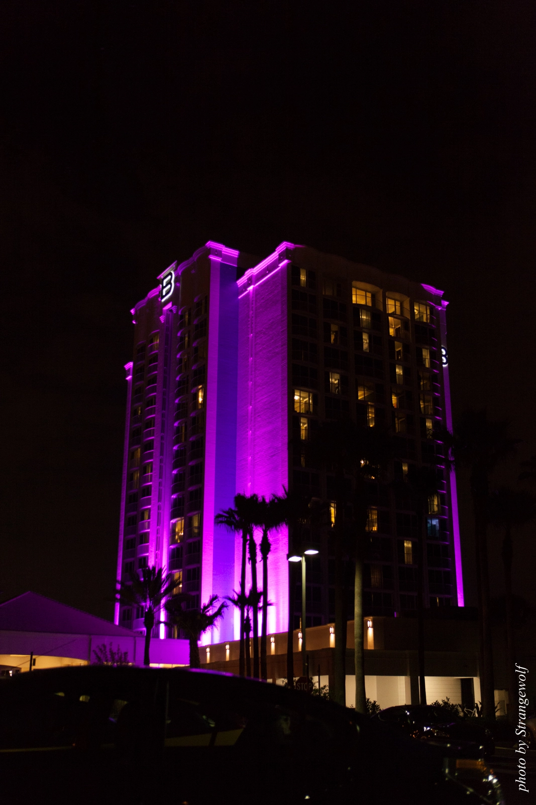 full image IMG_8716-lr16t.jpg