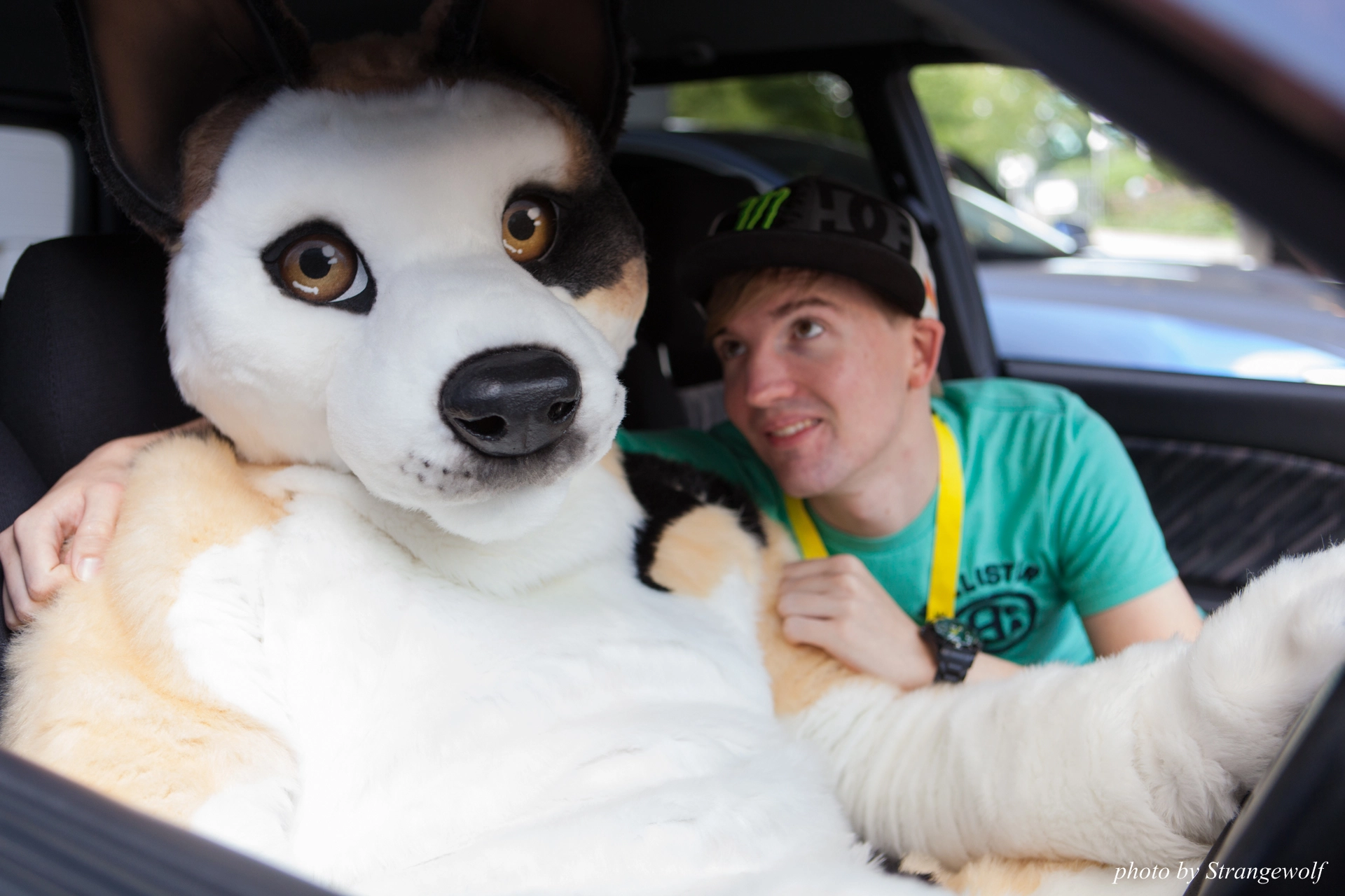 full image IMG_6854-lr19t.jpg