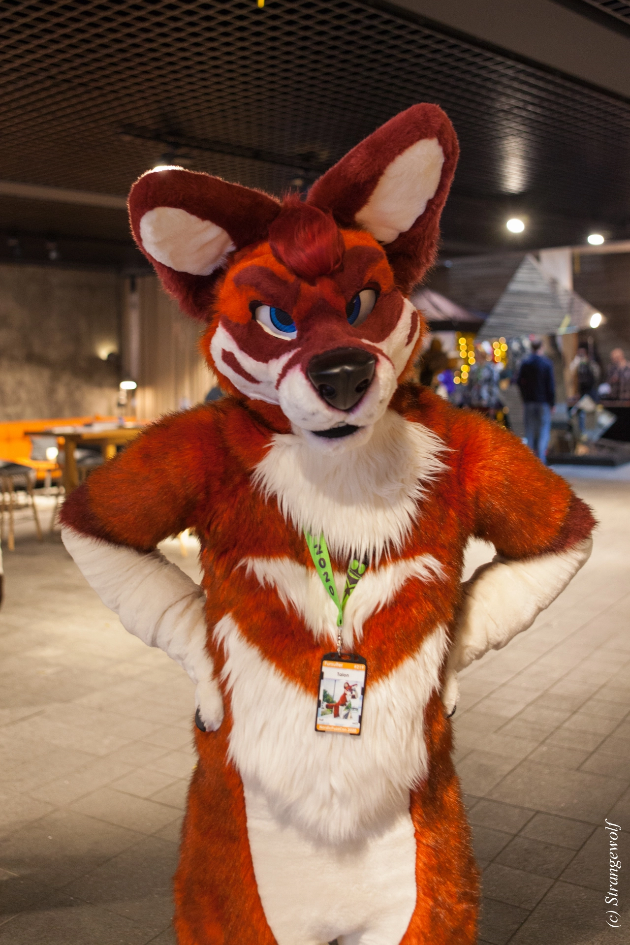 full image IMG_8957-lr19t.jpg