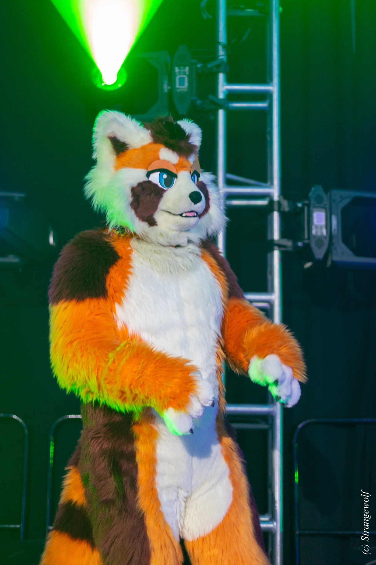 full image 1R3A0491-lr19t.jpg