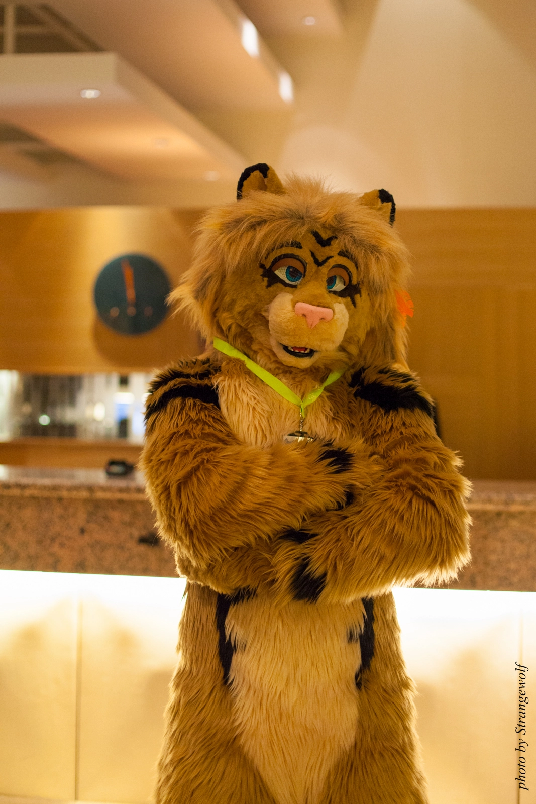 full image IMG_1491-lr16t.jpg