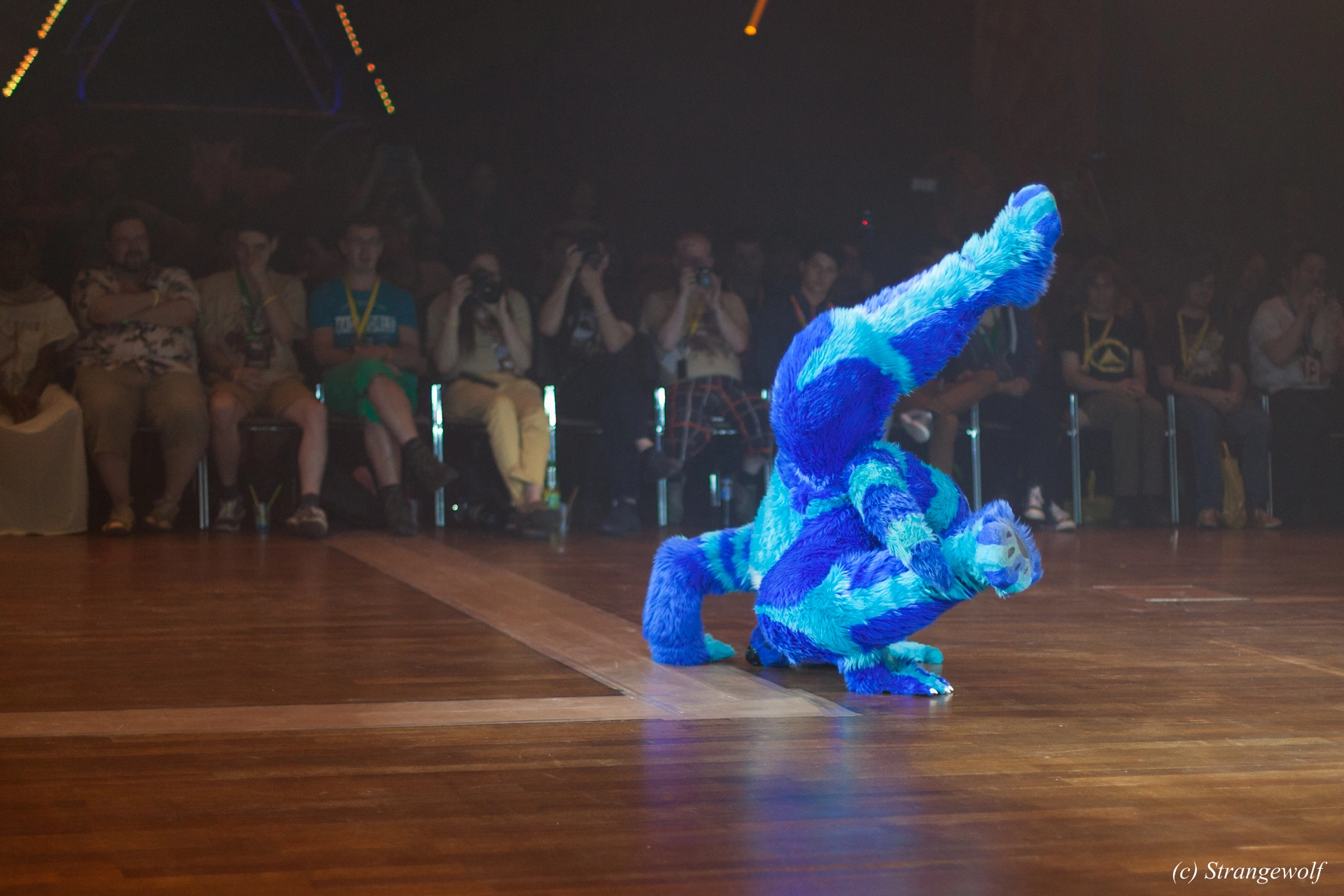 full image IMG_6424-lr19t.jpg