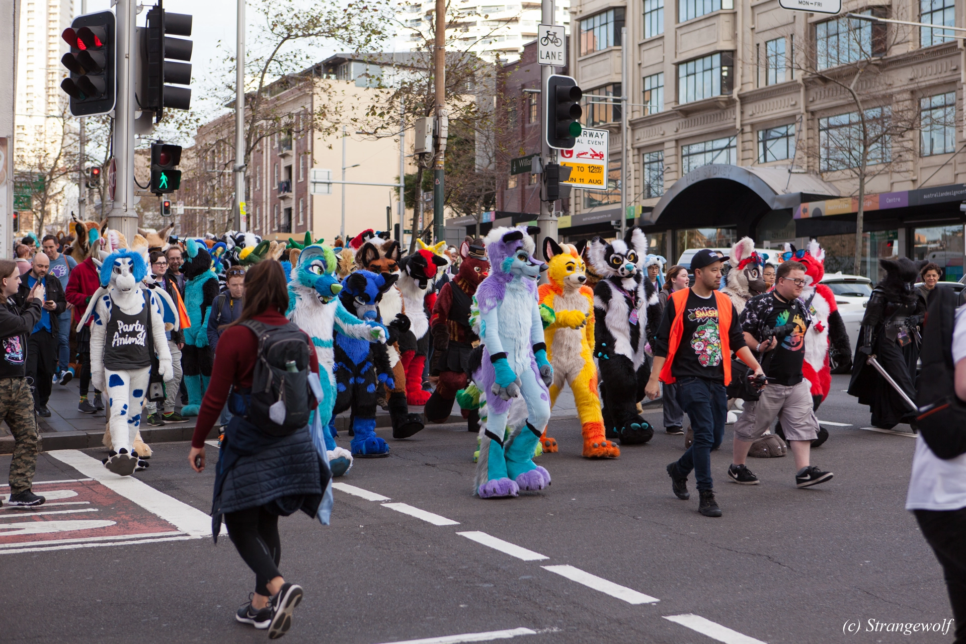 full image IMG_4590-lr19t.jpg