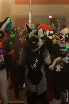 IMG_2265-lr19t.jpg of MFF/MFF2021/Dances/