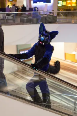 IMG_2003-lr19t.jpg of FWA/FWA2018/