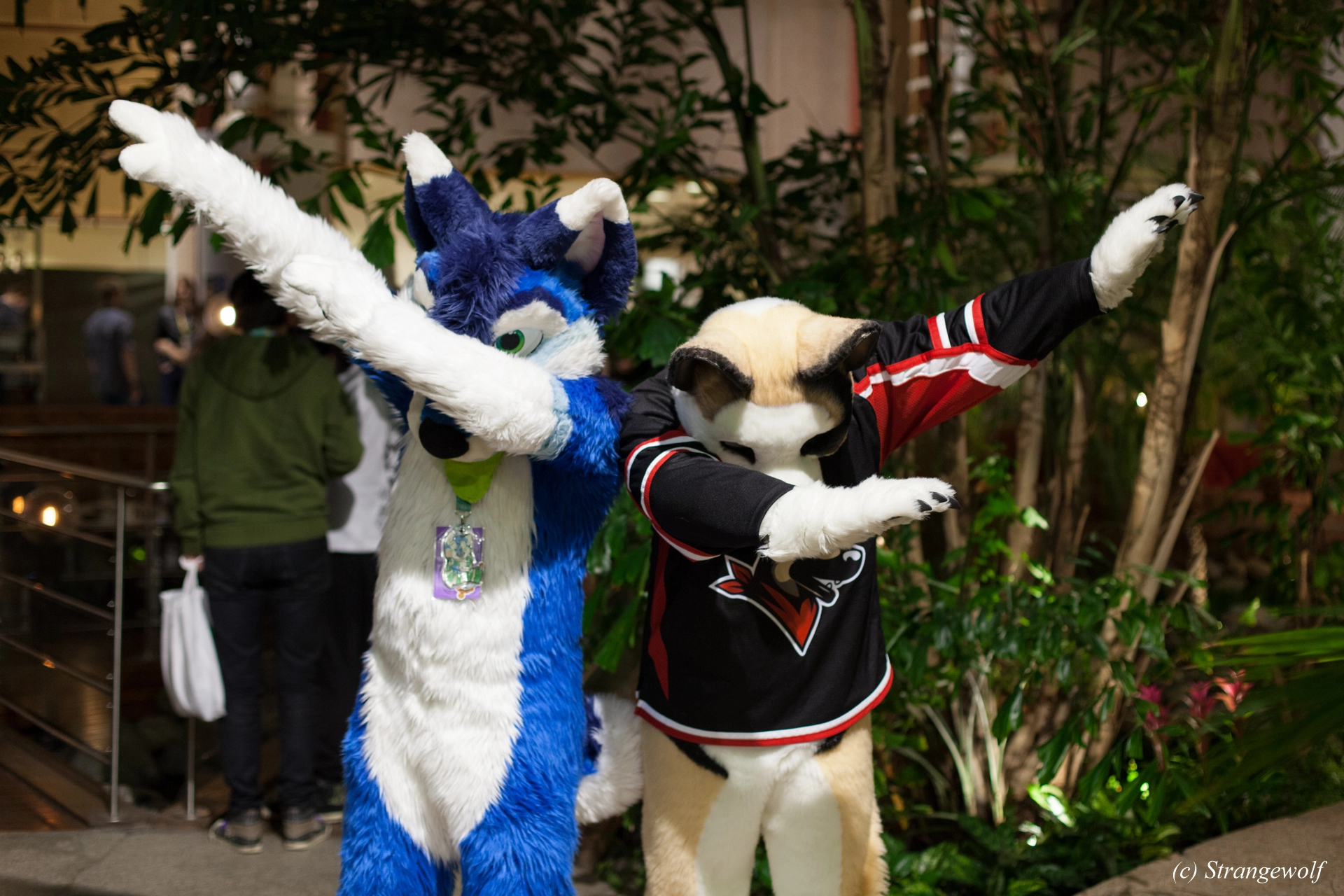 full image IMG_9060-lr19t.jpg