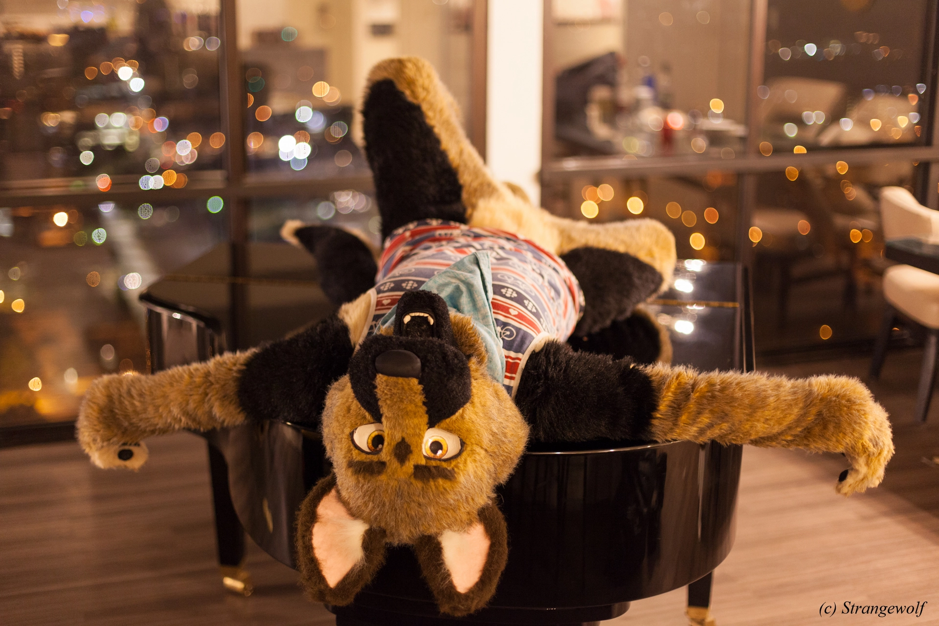 full image IMG_2315-lr19t.jpg