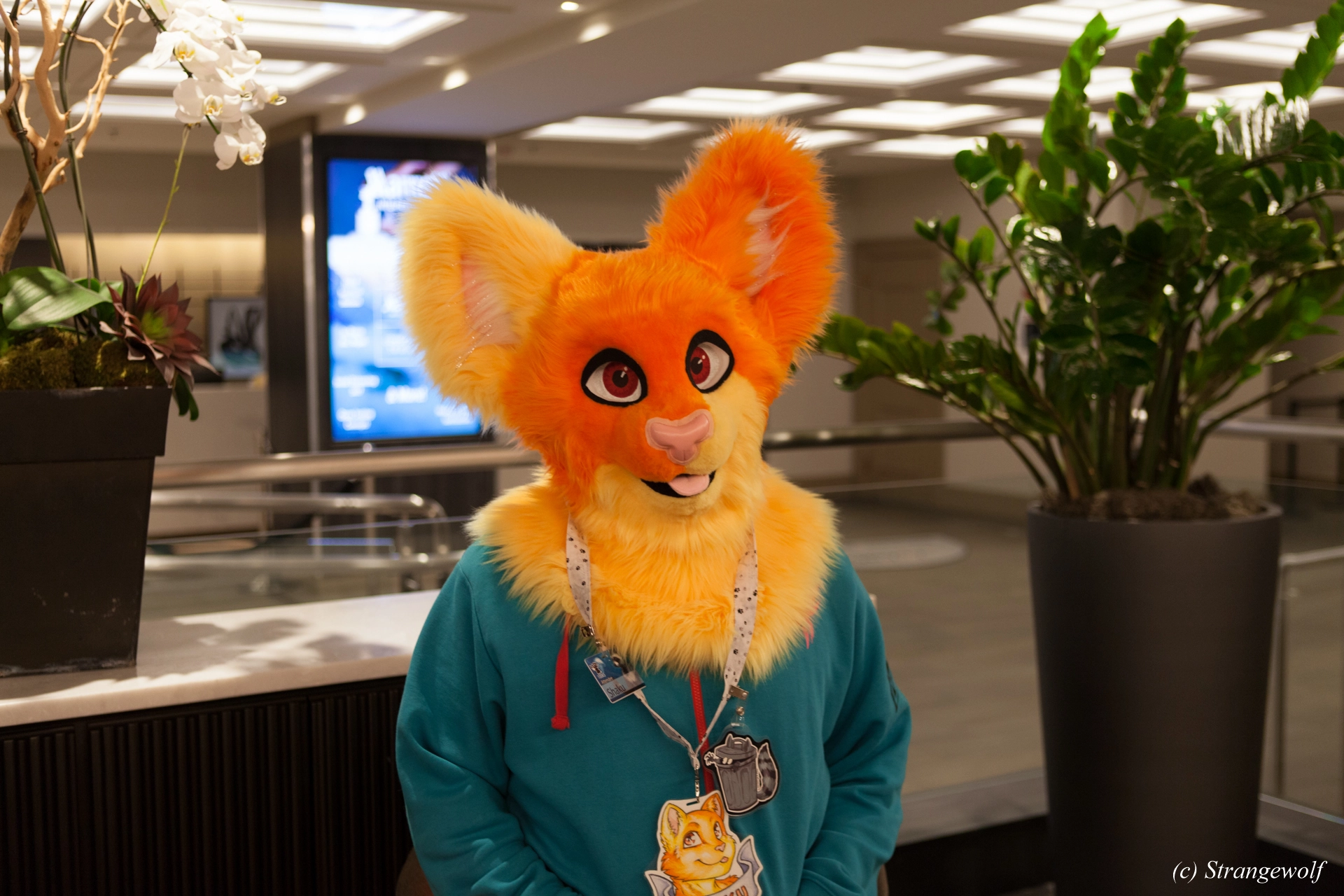 full image IMG_4599-lr19t.jpg