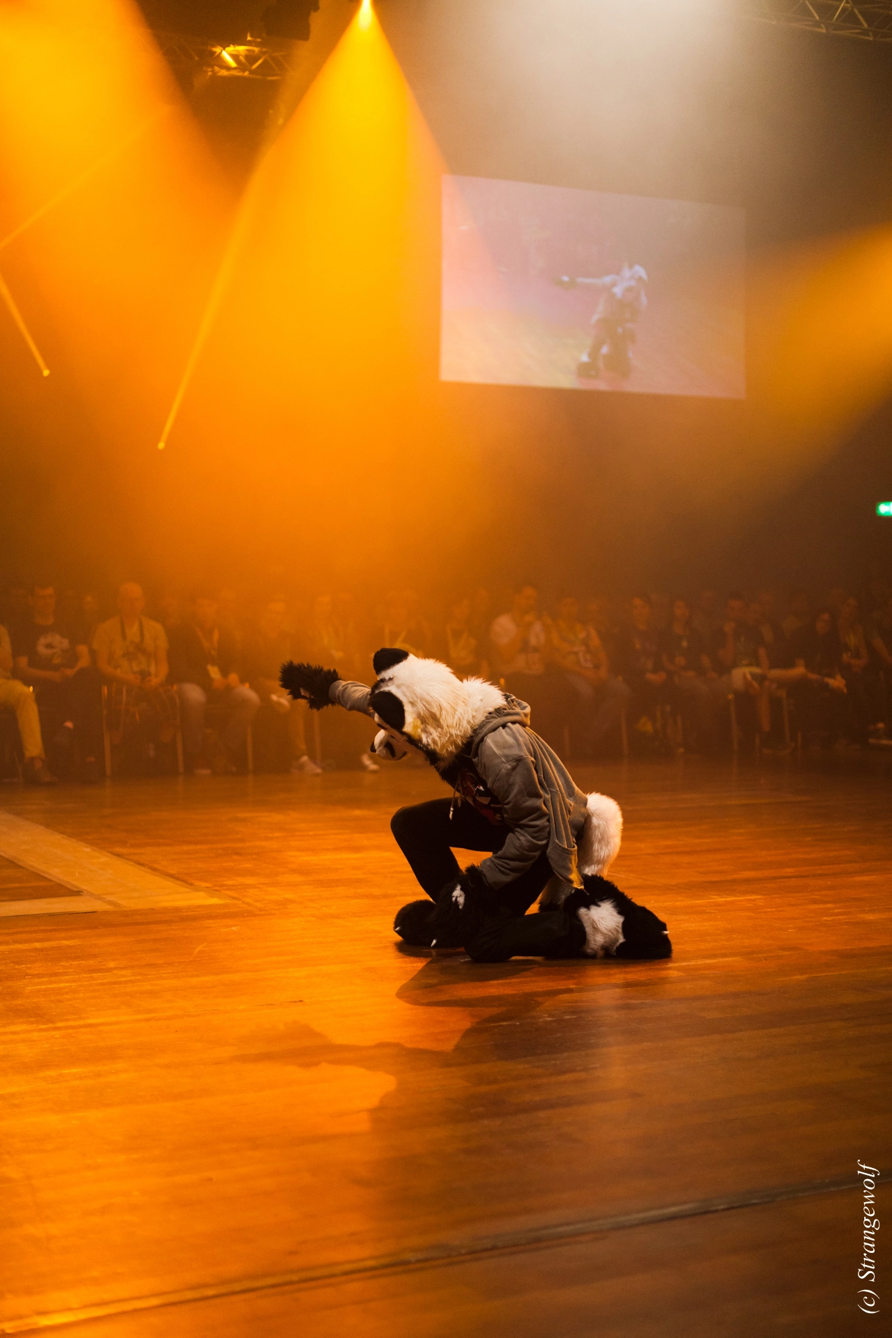 full image IMG_6570-lr19t.jpg