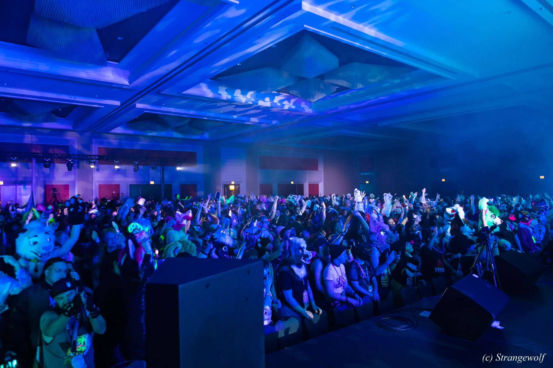 full image 1R3A5013-lr19t.jpg