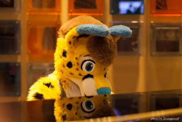 IMG_4254-lr16t.jpg of MFF/MFF2015/