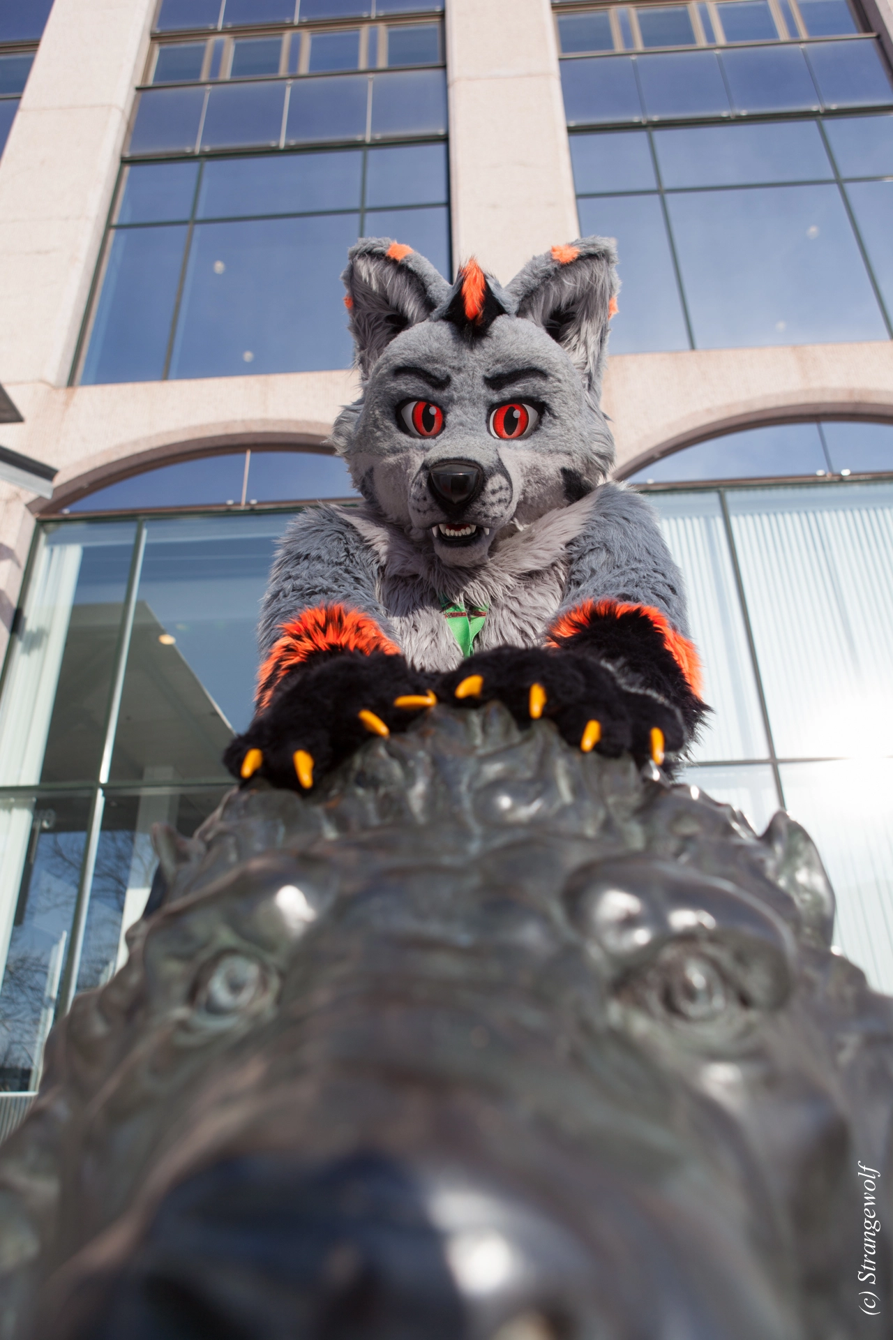 full image IMG_9695-lr19t.jpg