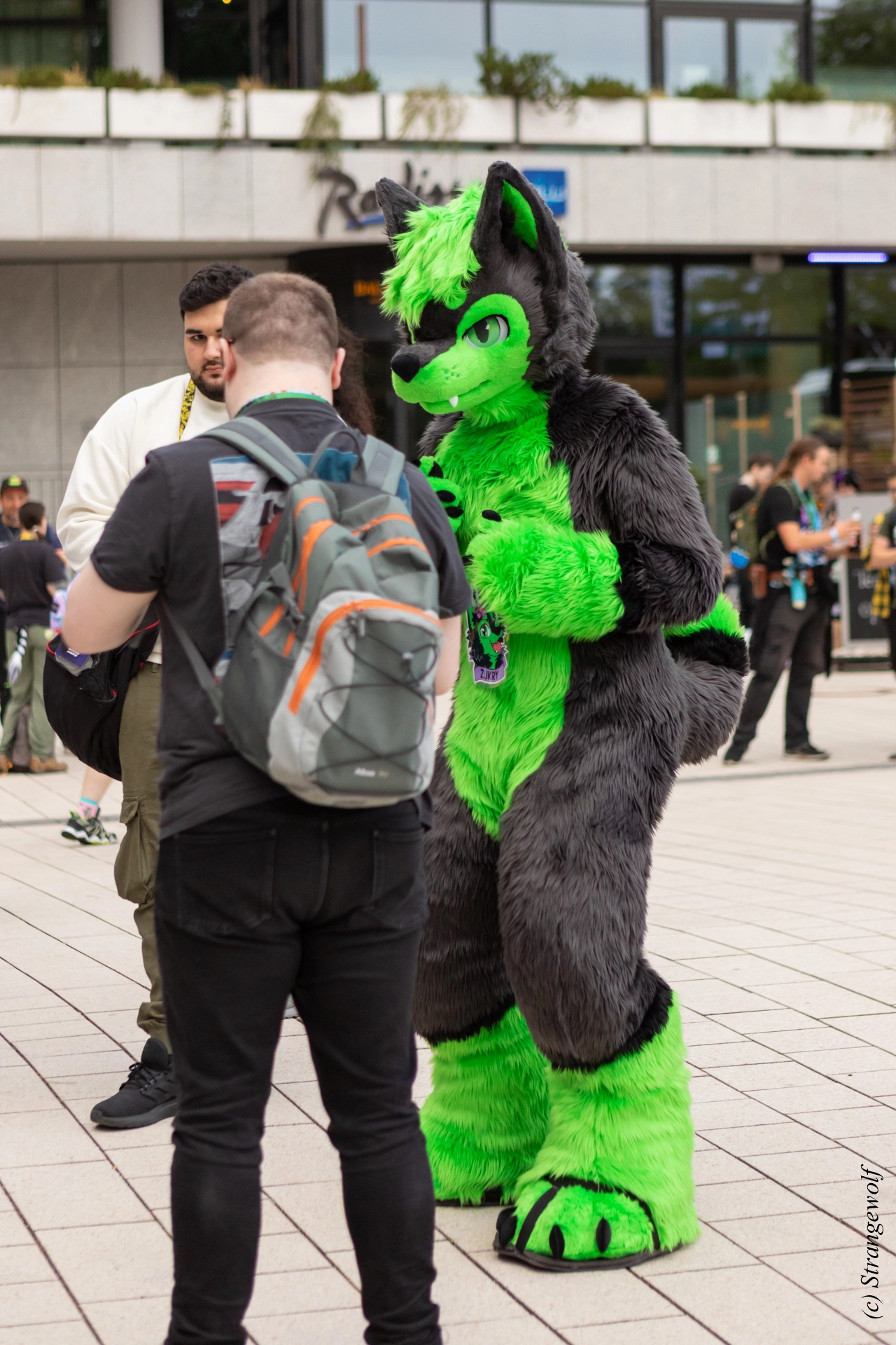 full image 1R3A9082-lr19t.jpg