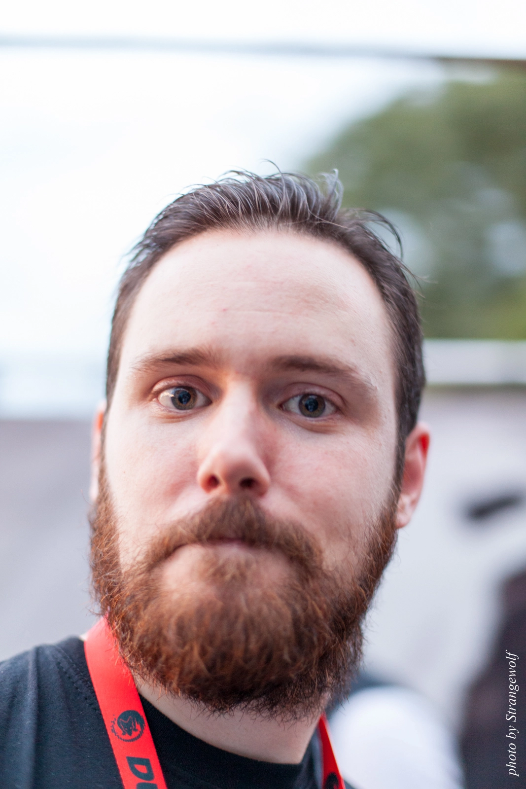 full image IMG_5325-lr16t.jpg