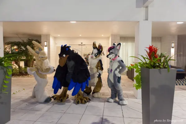 IMG_8441-lr16t.jpg of ESG/ESG2015/