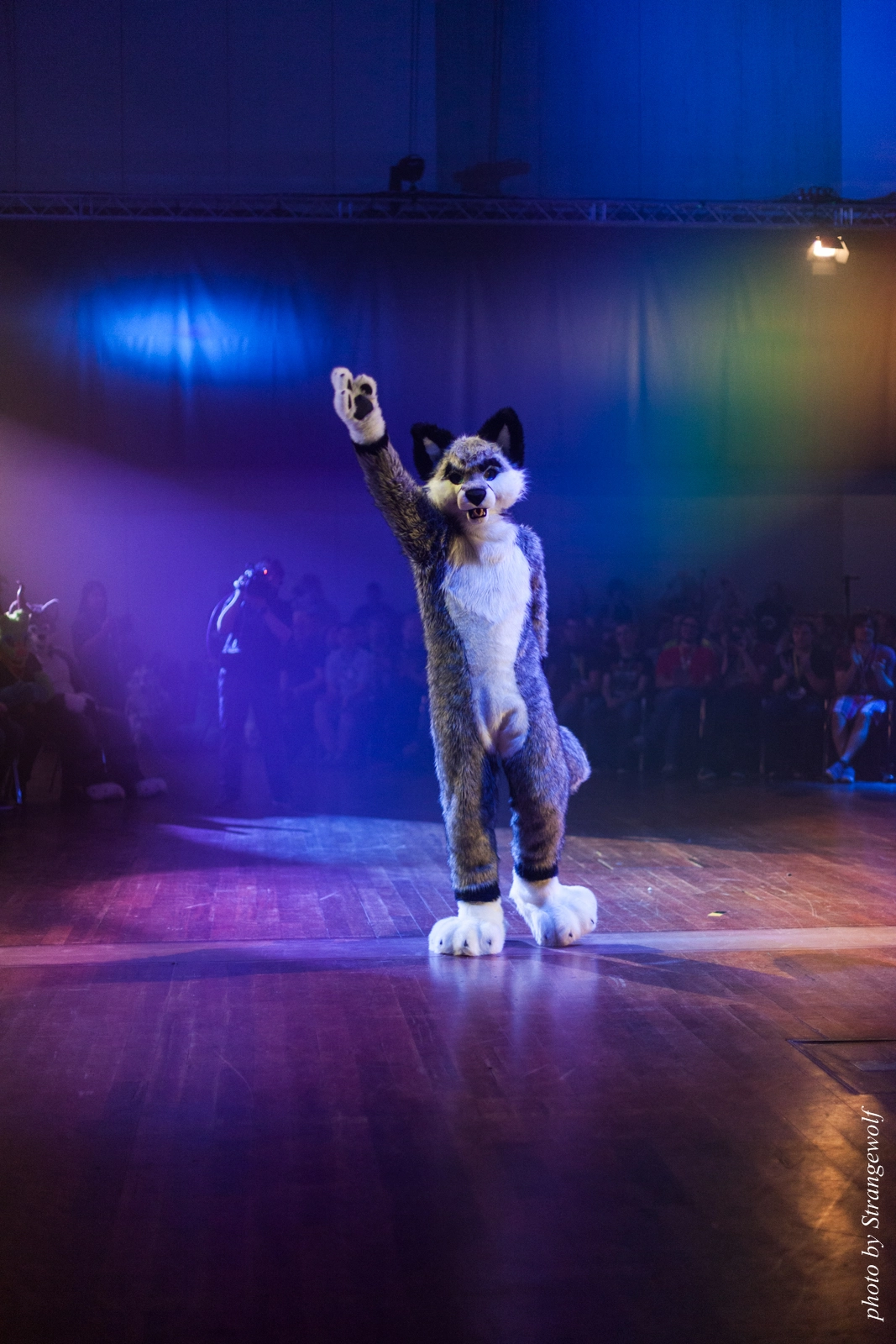 full image IMG_2961-lr16t.jpg