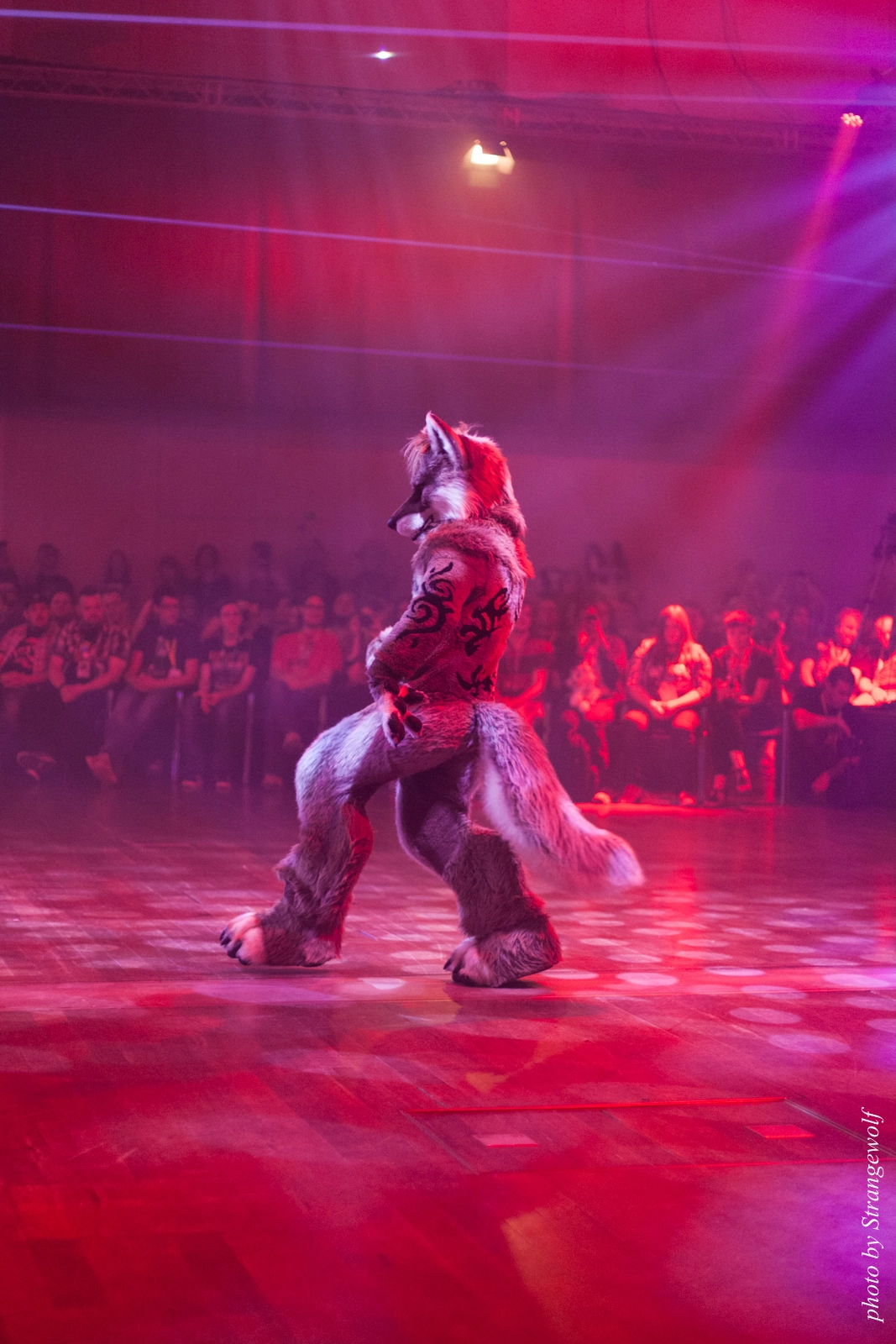 full image IMG_2726-lr16t.jpg