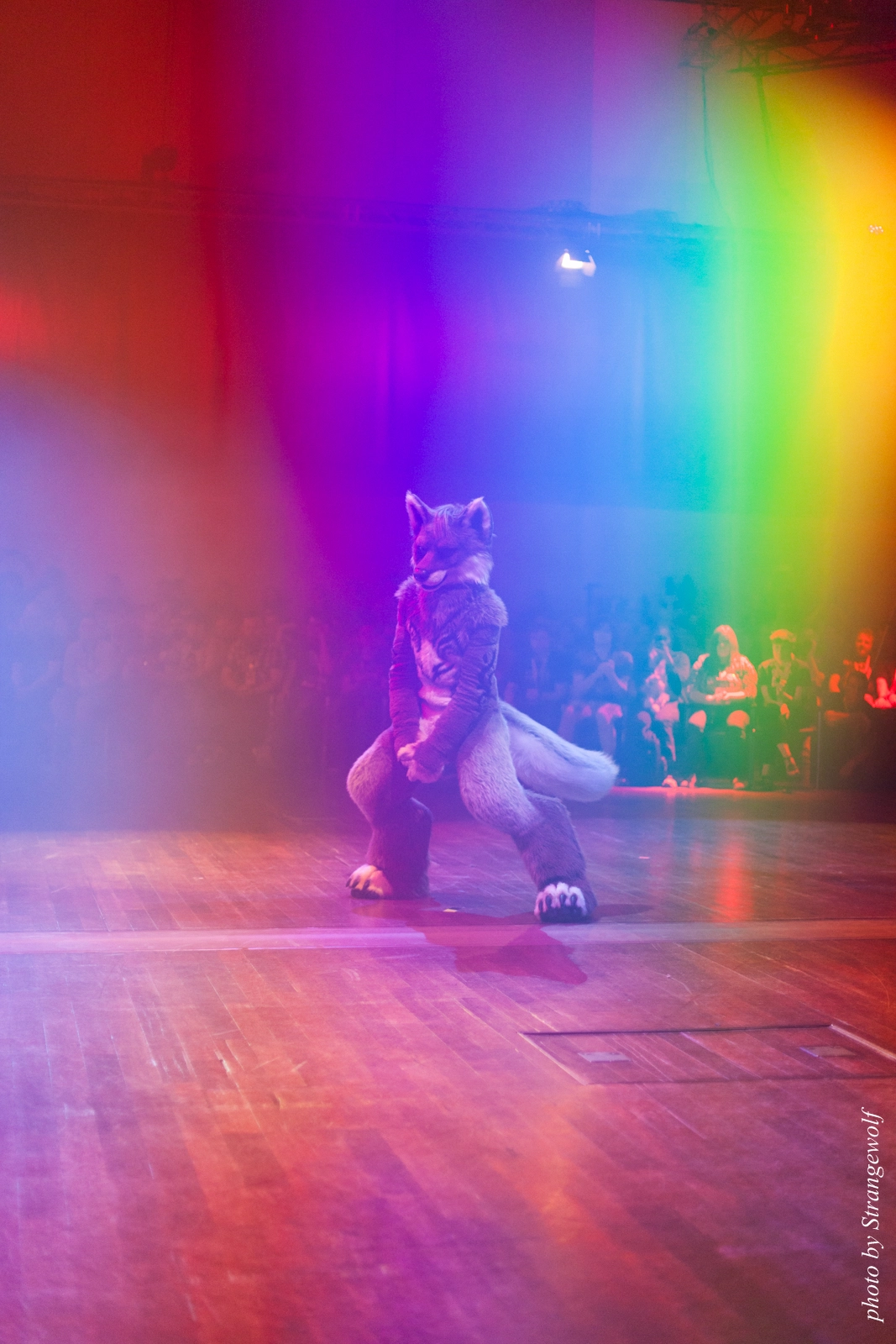 full image IMG_2765-lr16t.jpg