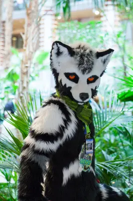 IMG_1652-lr16t.jpg of NFC/NFC2017/