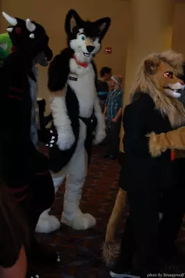 IMG_0561-lr.jpg of MFF/MFF2013/