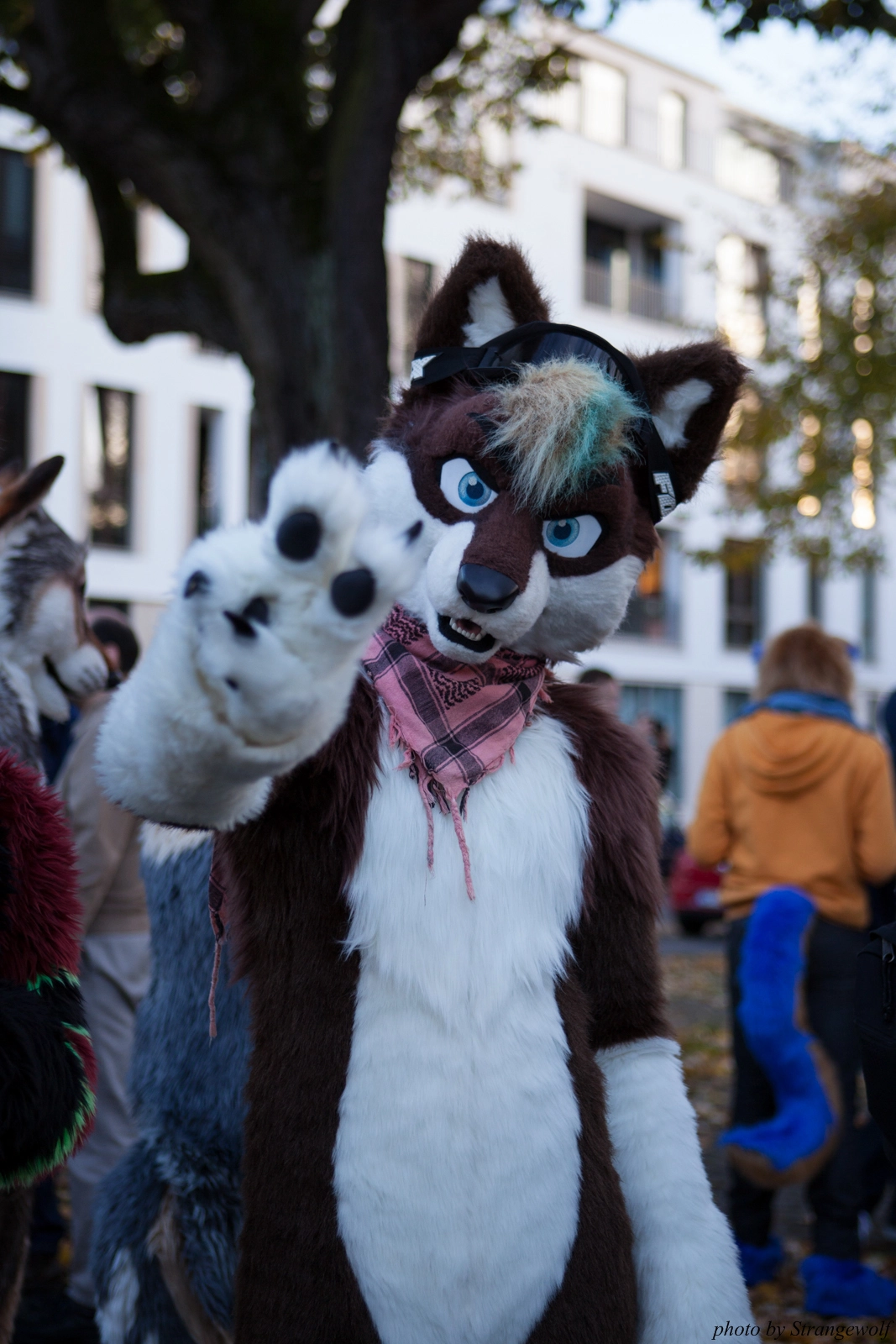 full image IMG_5282-lr16t.jpg