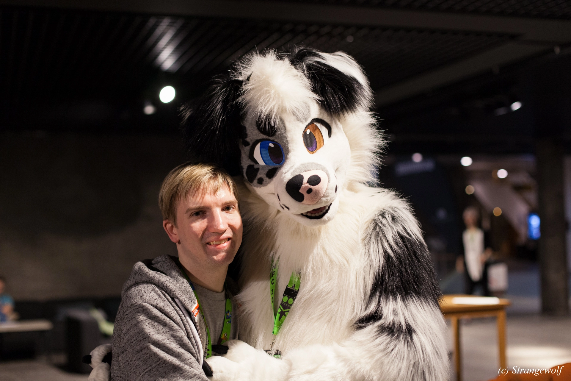 full image IMG_9379-lr19t.jpg