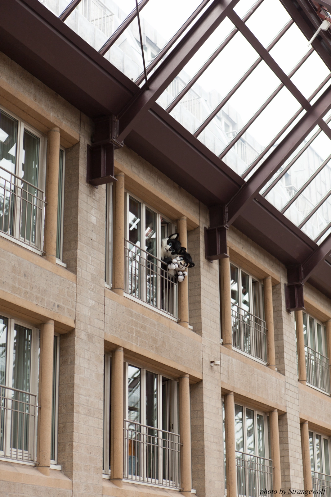 full image IMG_1192-lr16t.jpg