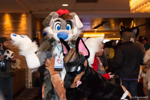 IMG_7254-lr19t.jpg of MFF/MFF2018/