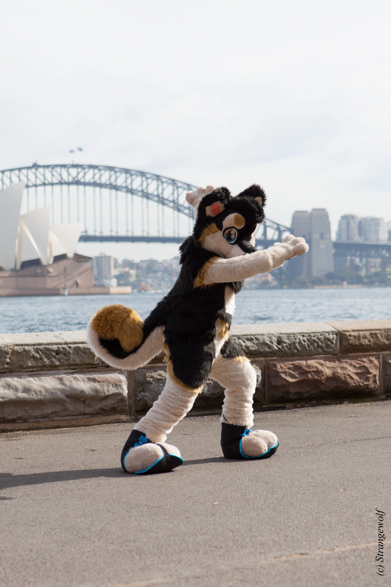 full image IMG_4355-lr19t.jpg